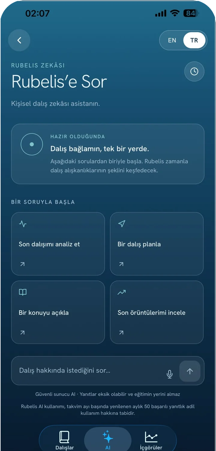 Rubelis App ekranı: Rubelis'e sor