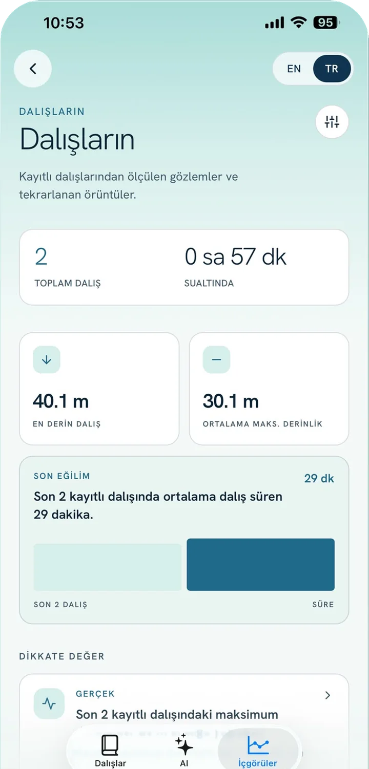 Rubelis App ekranı: Dalışlarındaki örüntüleri gör
