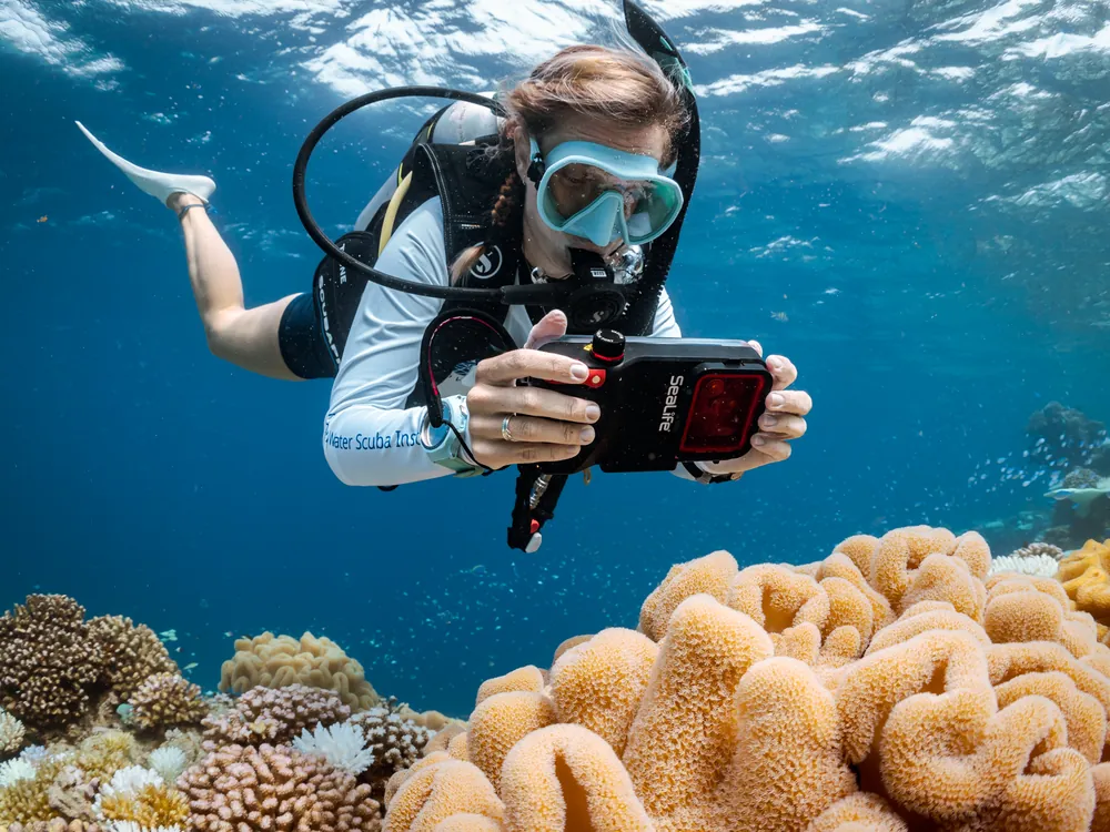 A diver examining coral details up close