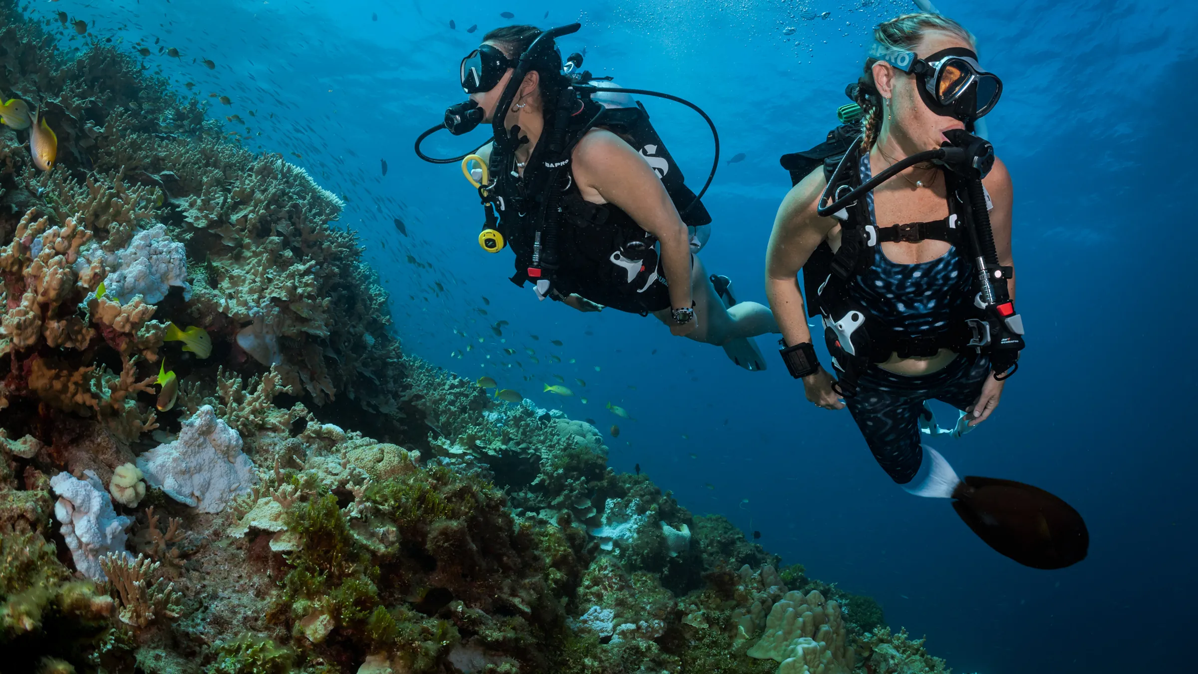 Two divers swimming side by side along a coral reef